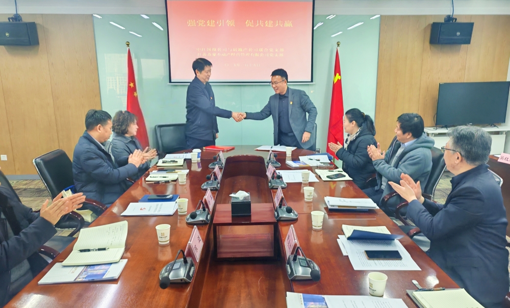 1737434185916225.jpg 33.jpg